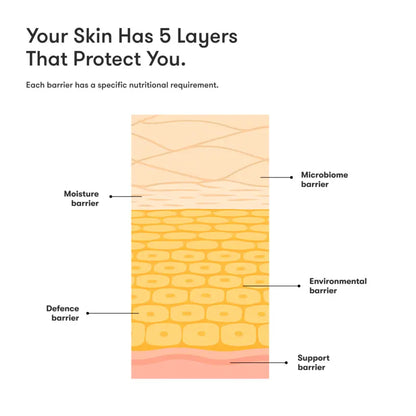 ARTISTRY™ Oily Skin* Morning Cleanser Toner Moisturizer for 30s